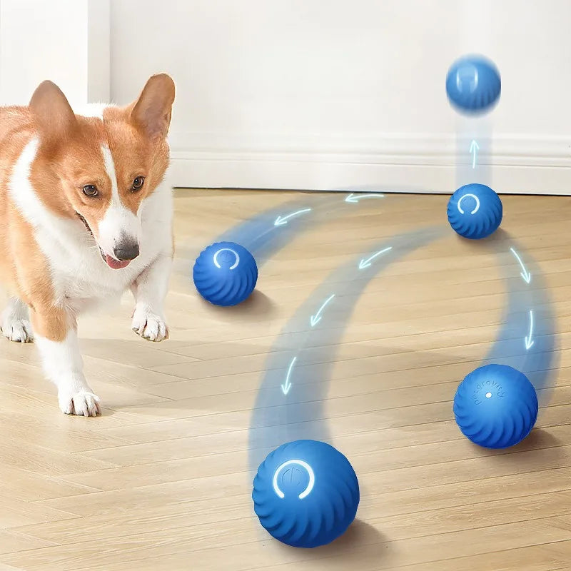DogPlay SmartBall כדור הצעצוע המושלם
