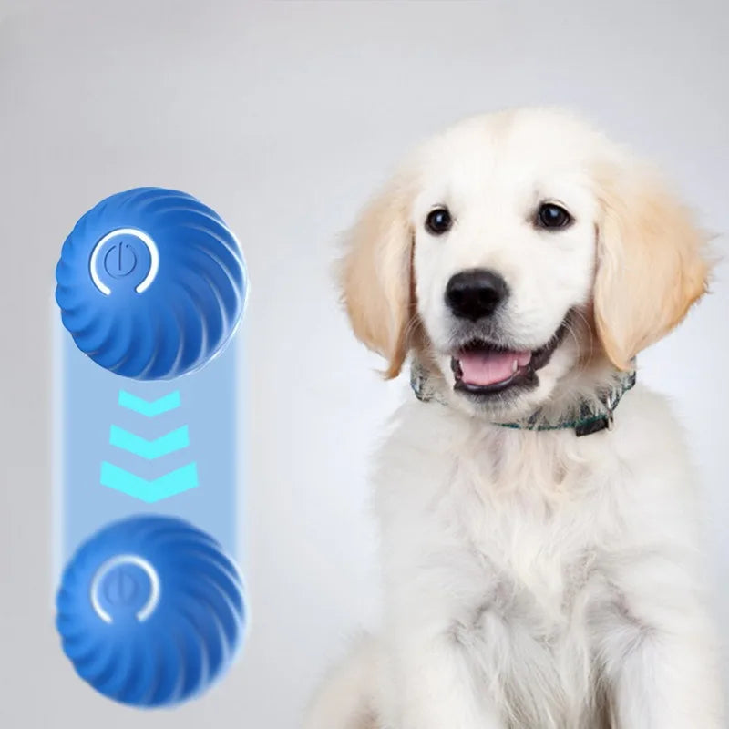 DogPlay SmartBall כדור הצעצוע המושלם
