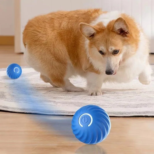 DogPlay SmartBall כדור הצעצוע המושלם